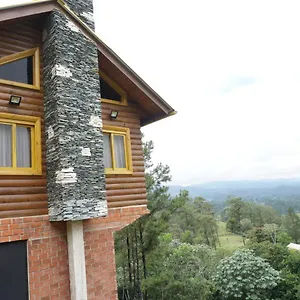 The Woods By Celebration Chalet